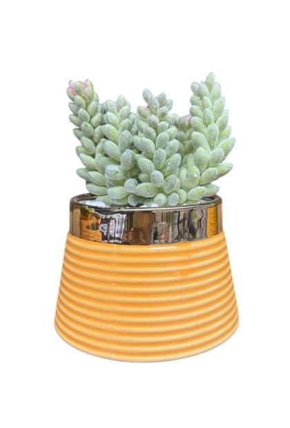 Cvijeće umjetno 13cm AM 050