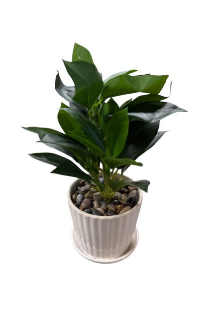 Cvijeće umjetno 30cm AM 052