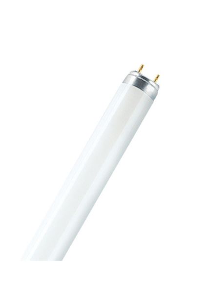 Fluocijev 36W/865 SMARTLUX PRO 25X1 OSRAM