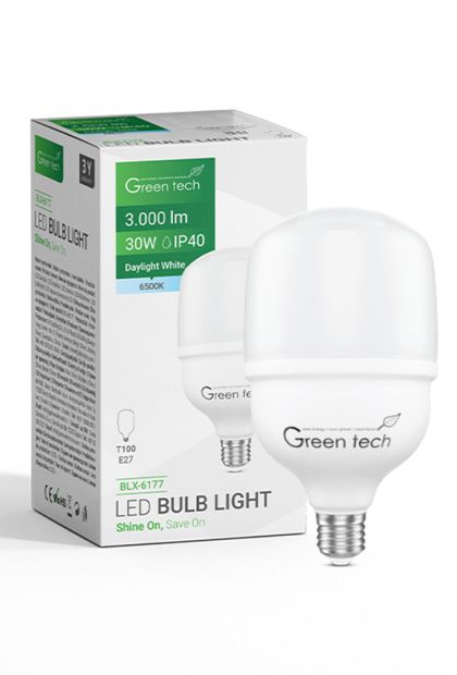 LED sijalica 30W 6500K E27 T100 FLUX 2400 Im IP40 Epistar chip BLX-6177 Green Tech