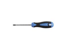 Šestokraki torx odvijač S2 HT1S056 T25x100mm