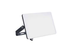 LED reflektor Pegasus-100 100W 6400K