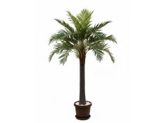 Drvo umjetno palma 2,6 m AM-077