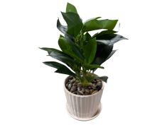 Cvijeće umjetno 30cm AM 052