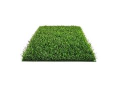 Trava dekorativna umjetna 2mx25mx2cm AM 117