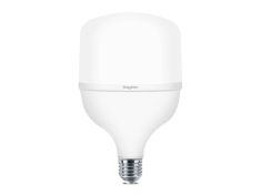 Sijalica LED BRY-ADVANCE 40W E27 T120 PLS 6500K BA13-34023