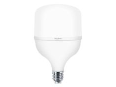 Sijalica LED BRY-ADVANCE 30W E27 T100 PLS 6500K BA13-33023