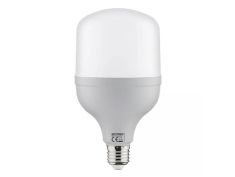 Sijalica LED 30W 4200K E27 001-016-0030