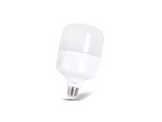 Sijalica LED Lumia Light T-30 30w E27 6500k