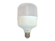 Sijalica LED Lumia Light T-30 40w E27 6500k Mass Light